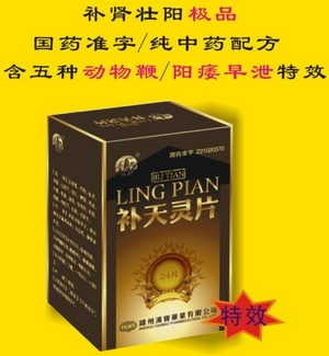 補天靈片