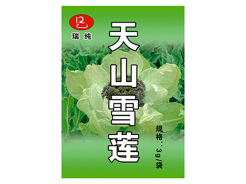 天山雪蓮