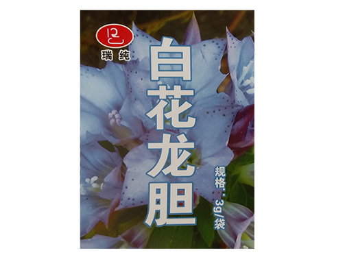 白花龍膽