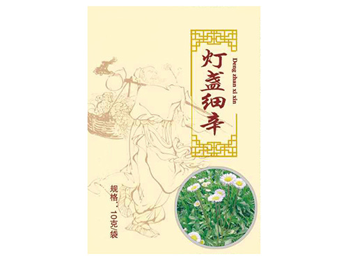 燈盞花