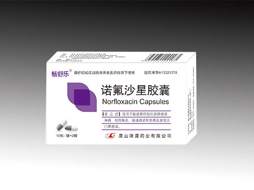 諾氟沙星膠囊