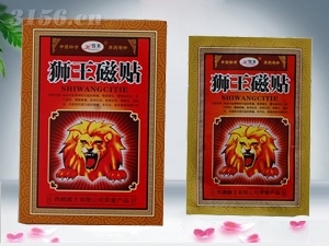 獅王磁貼