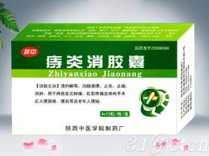 痔炎消膠囊
