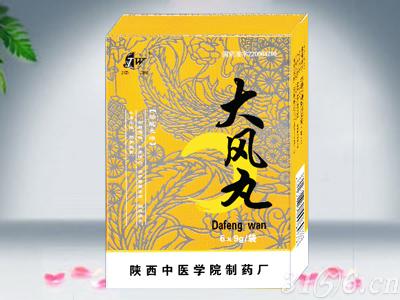 大風(fēng)丸